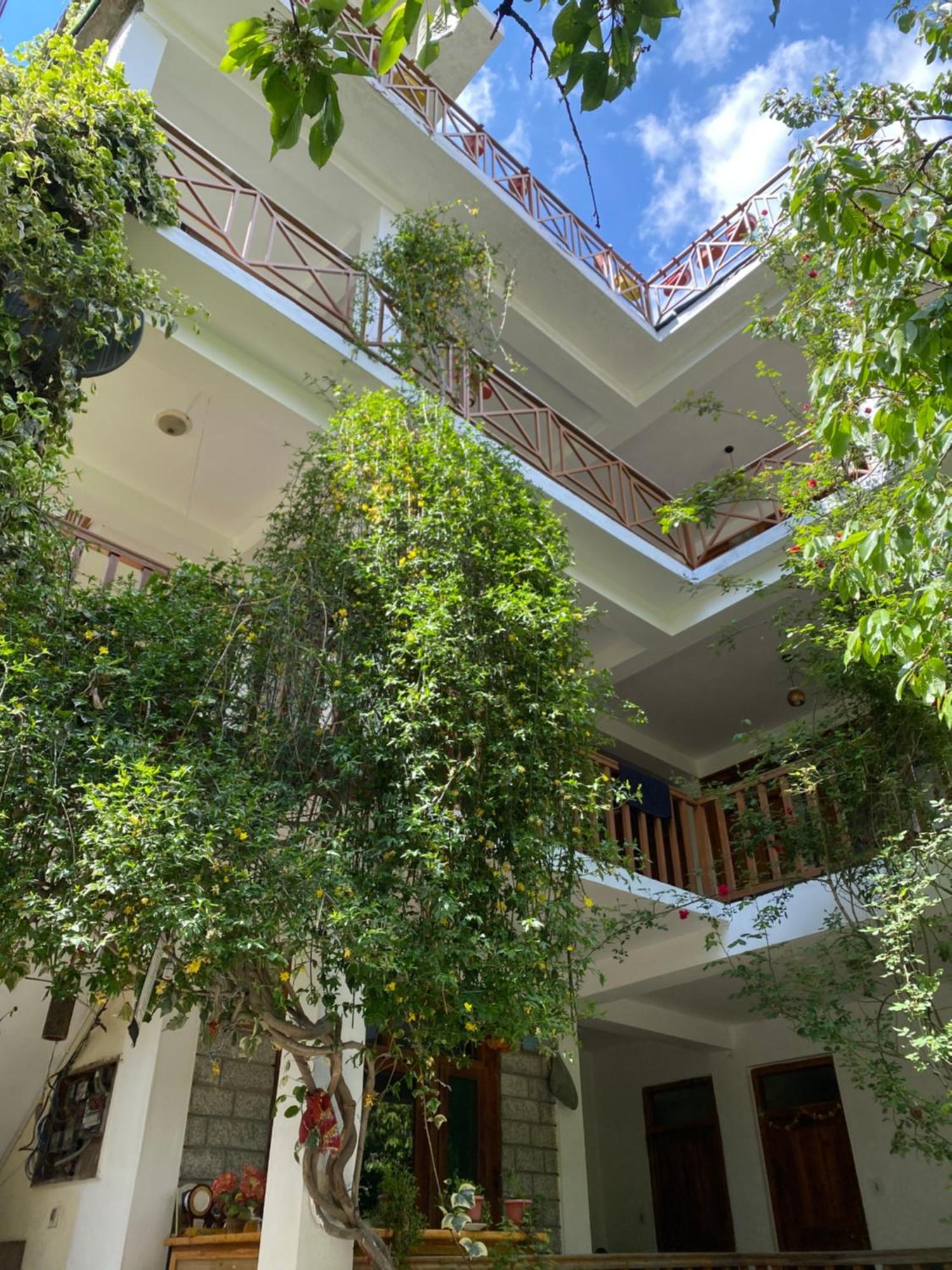 Homestay Double Dutch, Old Manali (Himachal Pradesh)
